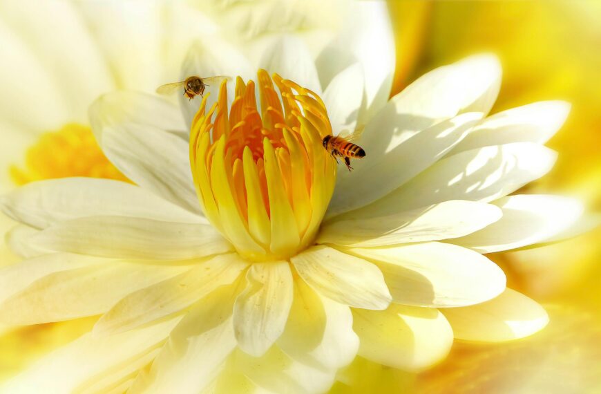 You Could Eat 3,000-Year-Old Honey!